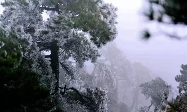 幻想三国志5