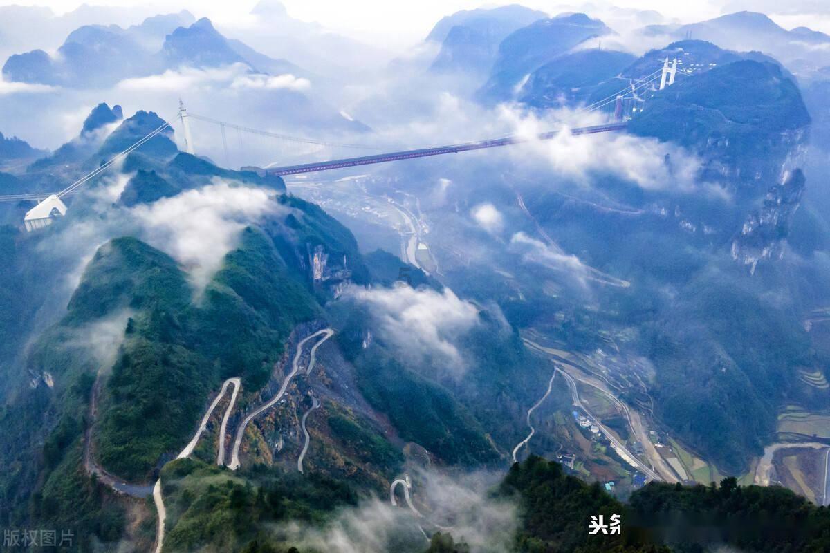 逃离粉红岛