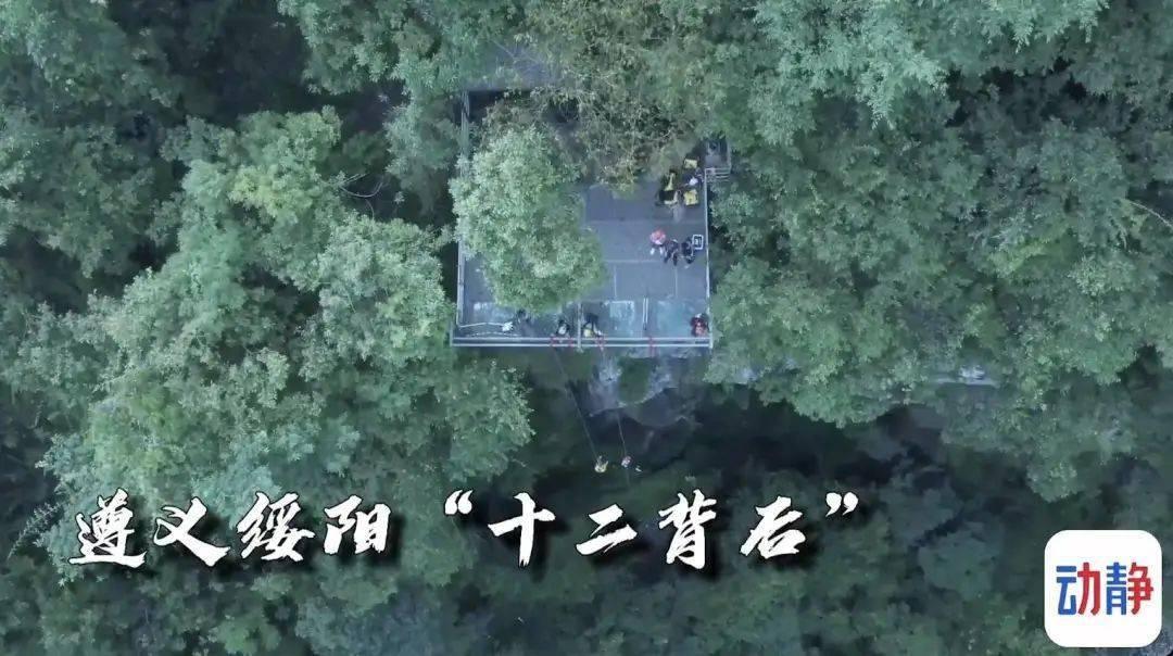 重生之星途璀璨