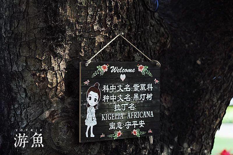 沪江开心词场