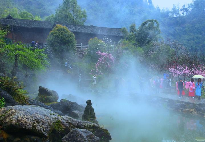 植物大战僵尸6