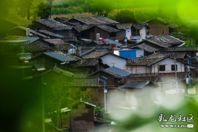 在单位上班几十年单位没给买保险已经错过了退休年龄应该从哪些方面找单位赔偿？