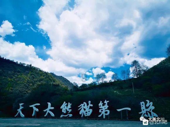 植物大战僵尸反击篇