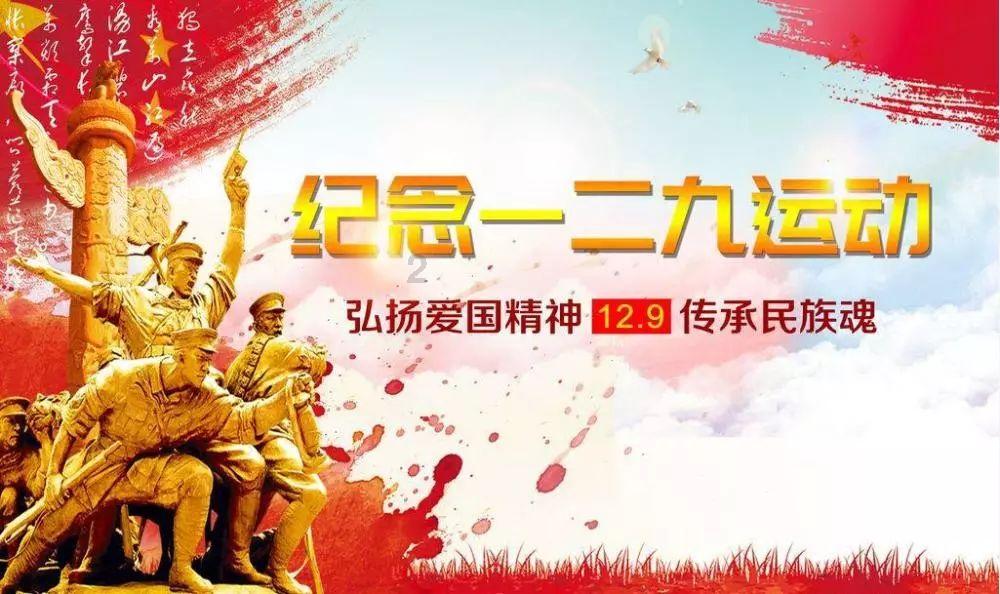 小猫钓鱼正版下载中文版