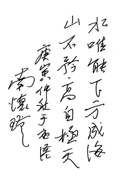眼镜蛇秘密行动