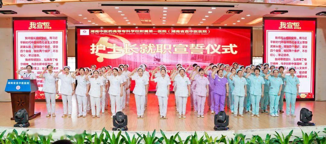 市场持续复苏 多个档期表现亮眼