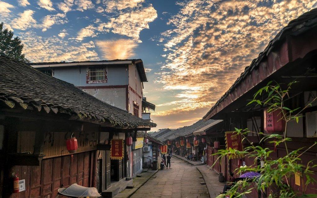青海循化：生态向好 候鸟翩跹
