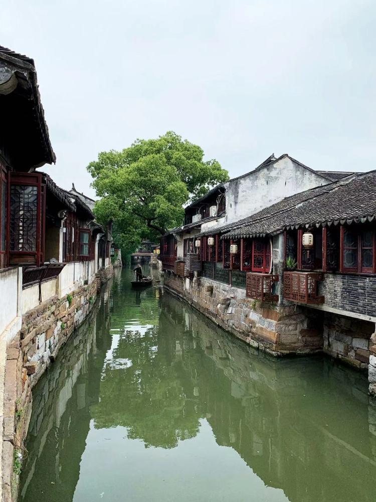 迷雾求生