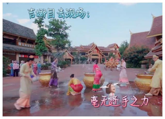 救援狗与猫